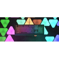 Teclado Razer Cynosa V2